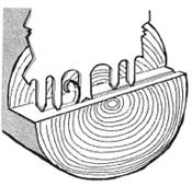 Drawing demonstrates how a crosscut saw cuts. 