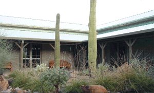 Photo from the inside of an open courtyard.  There are several varietys of plants within the courtyard.