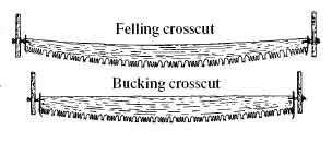 Drawings of a felling crosscut saw and a bucking crosscut saw.