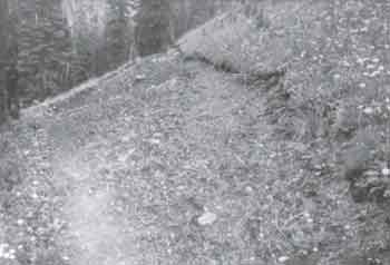 Photo of a trail with tread creep.  