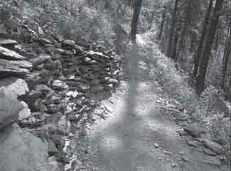 Photo of a rock retaining wall holding up a hillside on a trail.