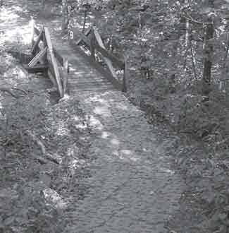 Photo of a paver on a trail that leads to a small bridge. 