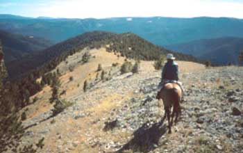 Photo of a horse and rider looking over a mountainous landscape.