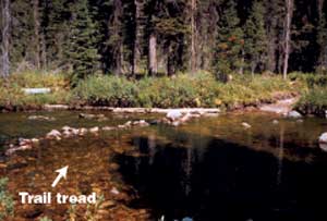 Photo of a stream with a tread surface for the trail.