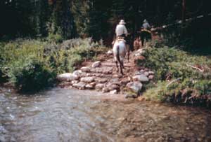 Photo of riders walking out of a stream back onto the trail.