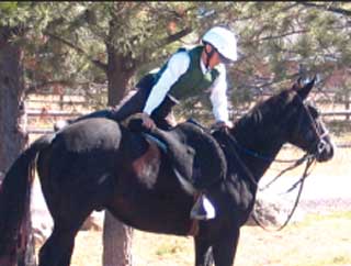 Photo of a rider safely mounting their horse.