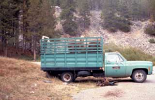 Photo of a stock truck with horses in it backed up to a hillside.