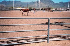 Photo of a large outdoor arena with a person lunging thier horse.