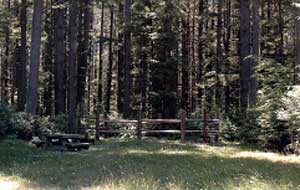 Photo of a campsite with a corral.