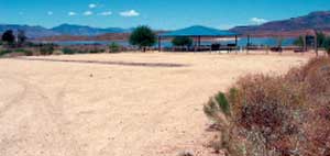 Photo of an equestrian group site that has a large parking area and multiple picnic tables that have shelter.