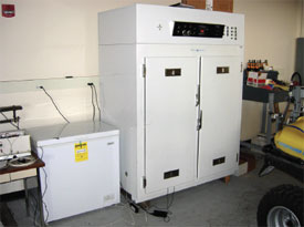 Photo of a commercial freezer.
