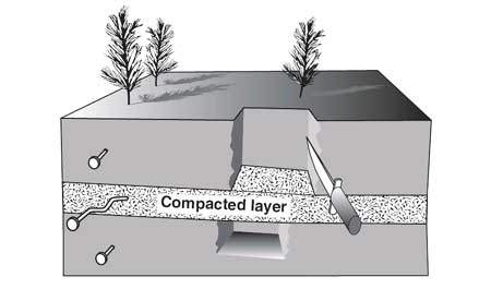 Drawing illustrating how to test for compacted soil. In the illustration there is a knife that has dug a hole in the ground to the compacted layer and there are three nails in the soil each in the three layers of soil. Text included in image reads: Compacted layer.