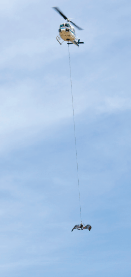 Photo of the heli-claw in the open position and in flight.