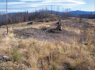 Photo of a site that is covered with wood shreddings which prohibits grass growth.