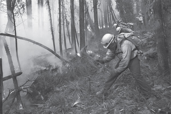 Photo of a crew of firefighters digging line.