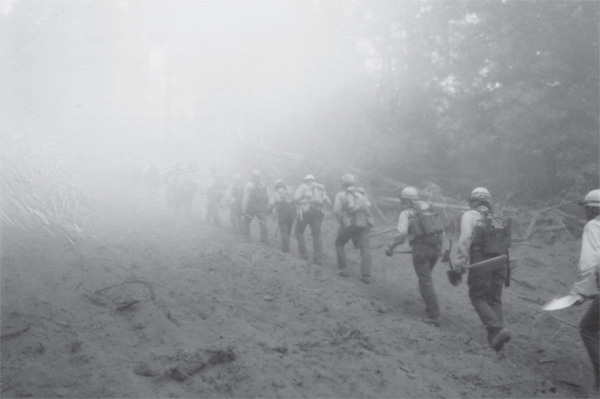 Photo of a line of firefighters hiking up a burnt area.