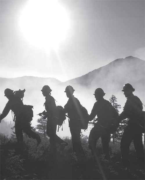 Photo of firefighters working in the field.
