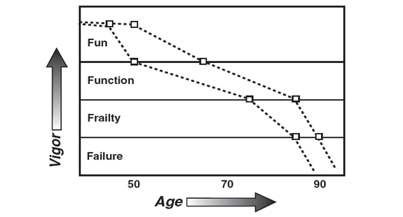 A graph showing how vigor relates to age and its downward trend as age increases.