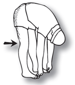 Drawing of a lower back and hamstring stretch.