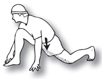 Drawing of a groin, hamstring, and hip stretch.