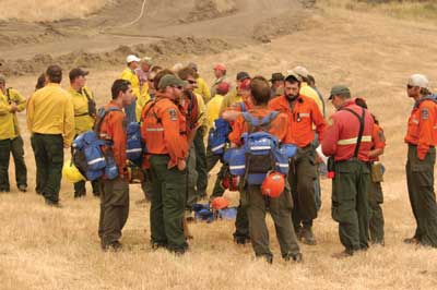 Photo of around 30 wildland firefighters gathering in a meadow.