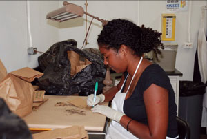 Photo of an individual sorting and labeling organic material in a lab setting.