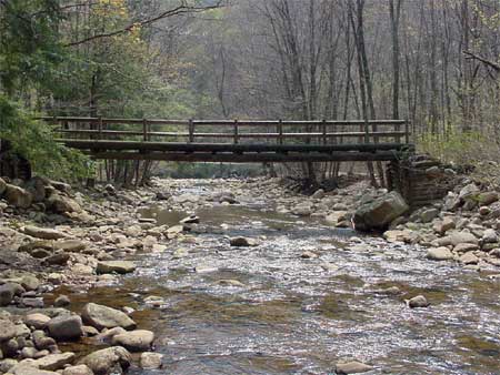 Photo of a timber bridge.