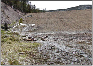 Image of a abutment contact (groin) where water has begun to seep through.  There is an arrow showing the location of seepage and the text 'Seepage' labeling it.