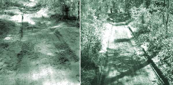 Photo of before and after whoop–de–doos.