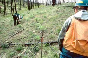 [photo] inspector watching a worker take measurements on a hill slope
