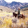 A rangeland of grasses, shrubs, and streams.