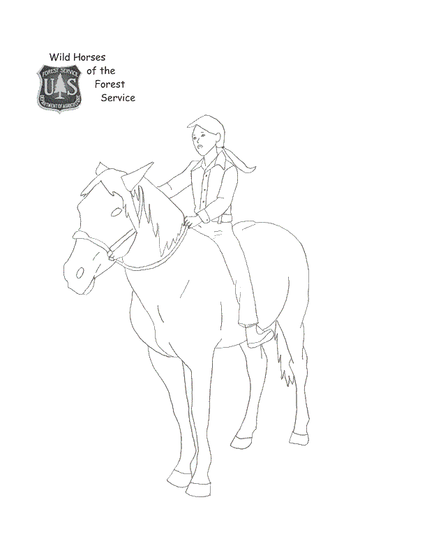 Wild horse coloring page.