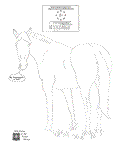 Wild horse and burro coloring page sample.