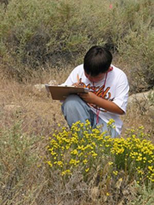 Citizen scientist recording information about plants.
