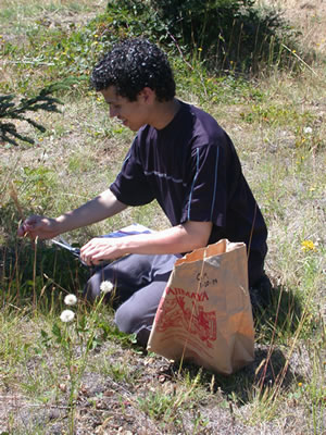 A student volunteer collecting native seed. 