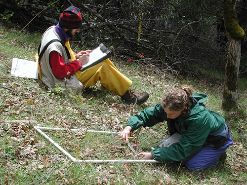 woman taking measurements from a vegetation plot, while a man sitting nearby records the observations.