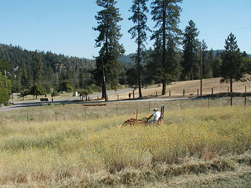 man mowing a field with a tractor.