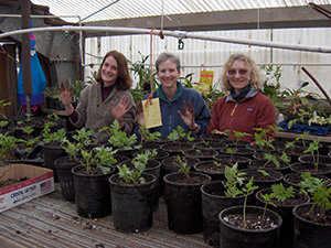 three women standing behind potted native plants in a green house.
