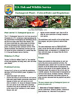 Native Pollinators and Agriculture in Canada cover.