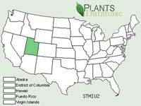Stephanomeria minor var. uintaensis, narrow-leaved skeletonplant range map.