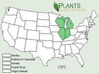 Cirsium pitcheri range map.