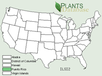 Ilex sintenisii range map.