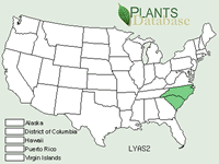 Lysimachia asperulaefolia, rough-leaved loosestrife, range map.