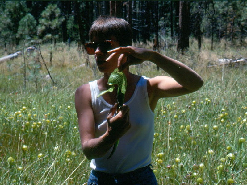 Carol Witham explaining a Darlingtonia californica pitcher, Butterfly Valley Fen