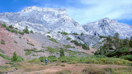 A strongly sloping fen in the Stanislaus National Forest.