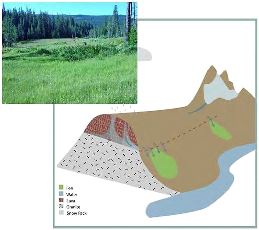 Types of Fens