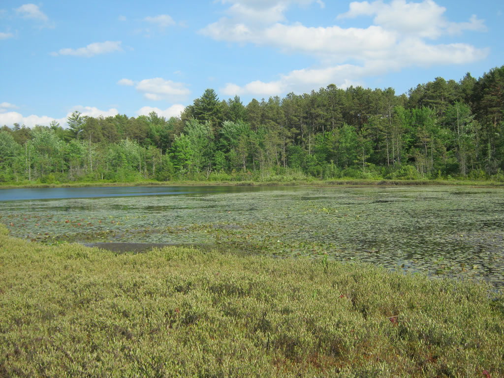 St. Paul District > American Wetlands Month > Fens