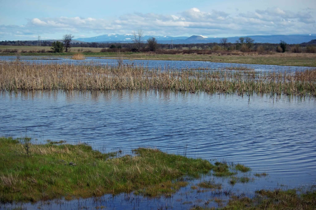 What Is A Fen? - WorldAtlas