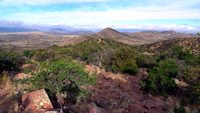 View from one of the higher “peaks” of the Canelo Hills.