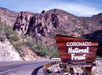 A Coronado National Forest sign along the Hitchcock Highway.